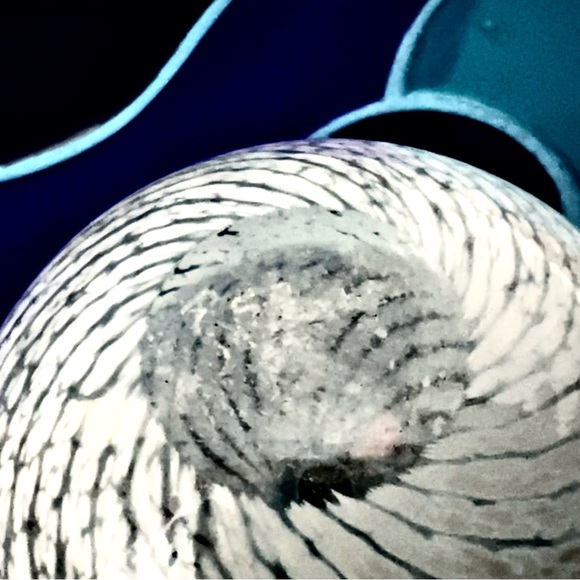 🎁 Vintage 1995 Signed Handblown Art Glass Bud Vase – White Milky Way Veining - Picture 3 of 9